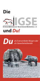 Info-Flyer zur IGSE
